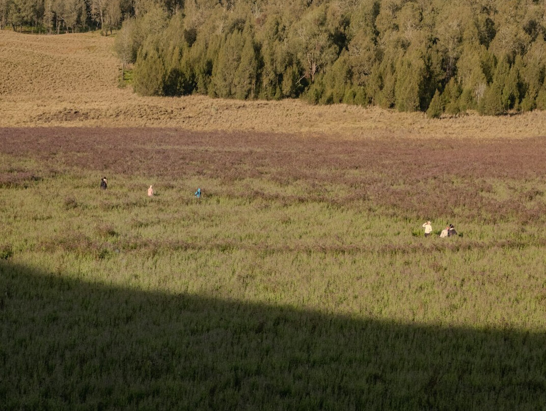 investigators in field